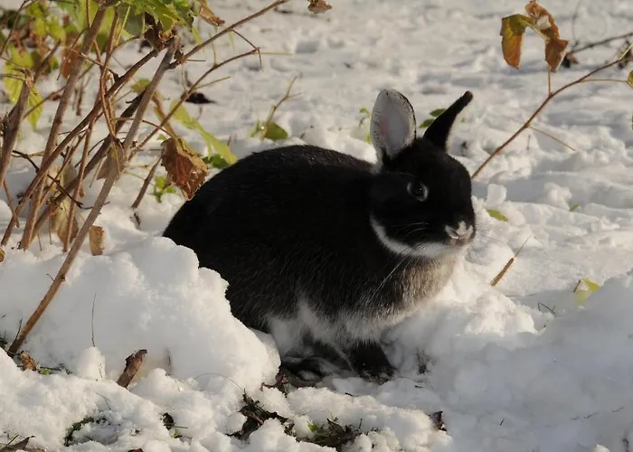 Geinberg & Via Nova 4* Polling im Innkreis