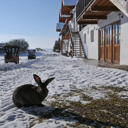 아파트호텔 Geinberg & Via Nova 4*